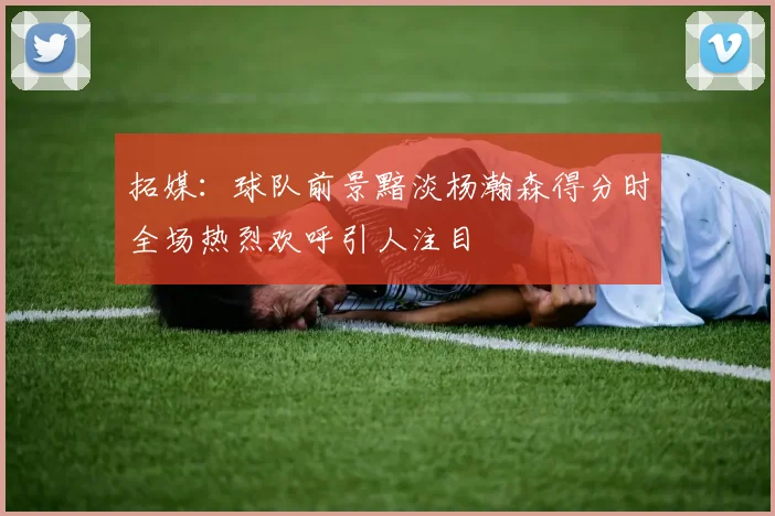 拓媒：球队前景黯淡杨瀚森得分时全场热烈欢呼引人注目