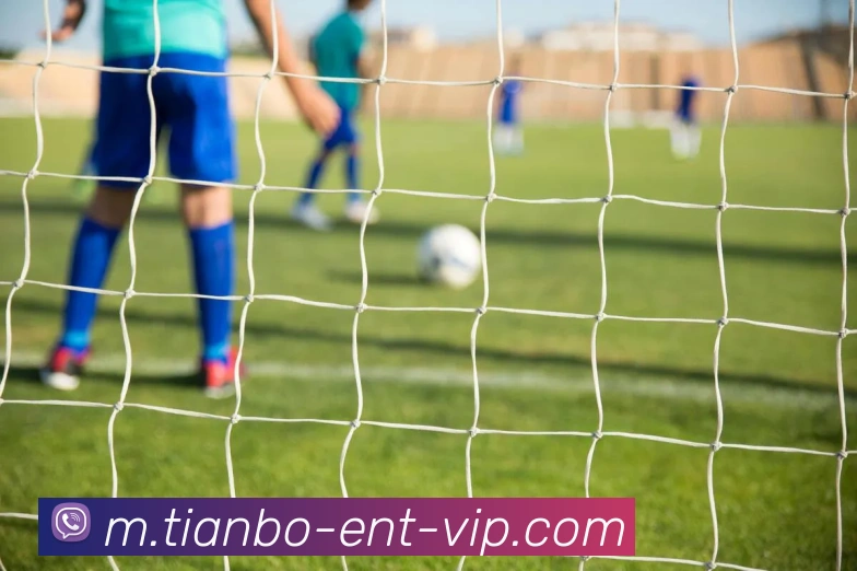 天博体育平台生态图